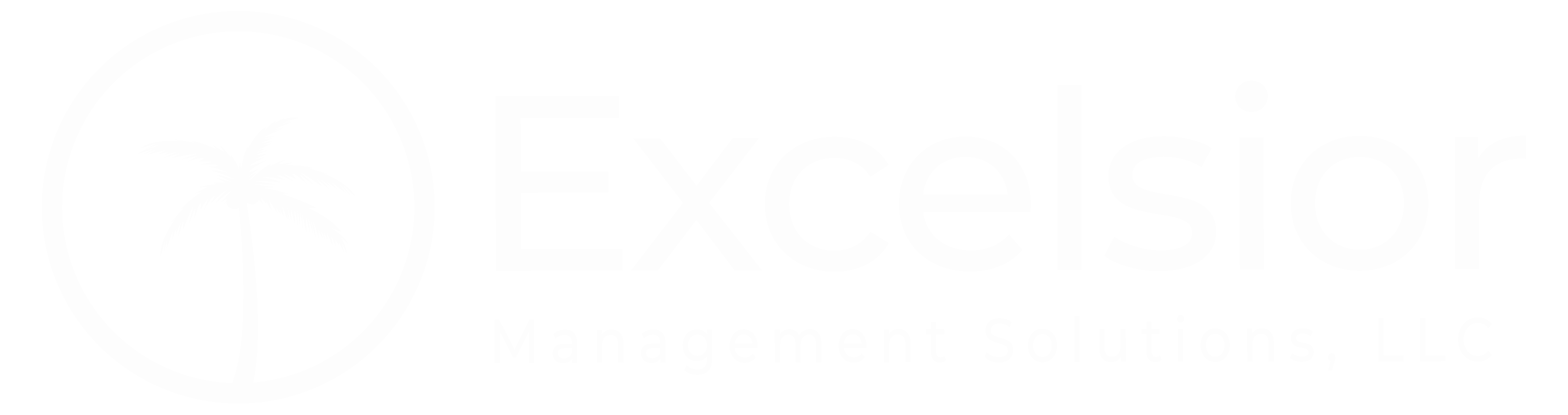 Excelsior Management Solutions